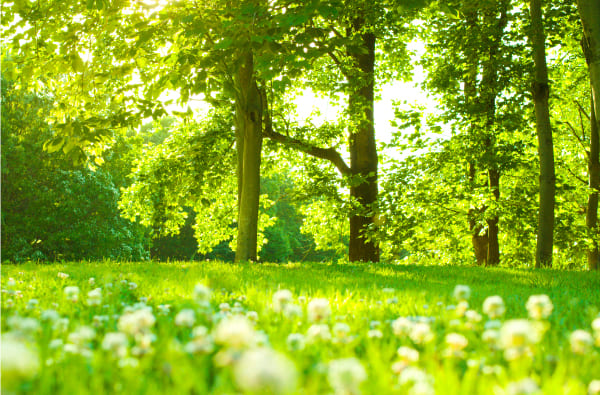 会員専用バナー画像